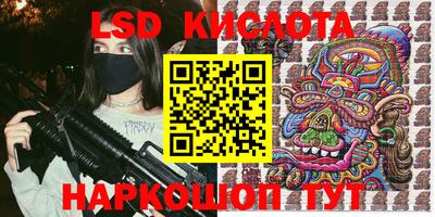 прущие грибы Новодвинск