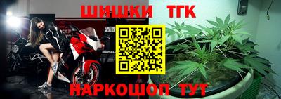 сатива Новозыбков
