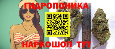 прущие грибы Новодвинск