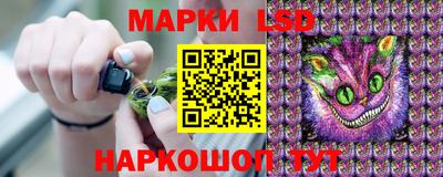 прущие грибы Новодвинск