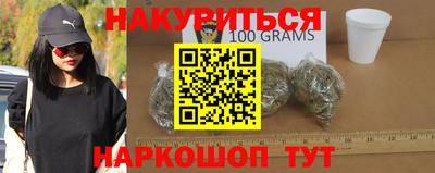 сатива Новозыбков