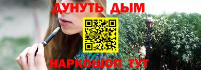сатива Новозыбков