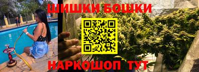 сатива Новозыбков