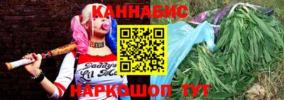 сатива Новозыбков