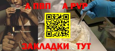 сатива Новозыбков