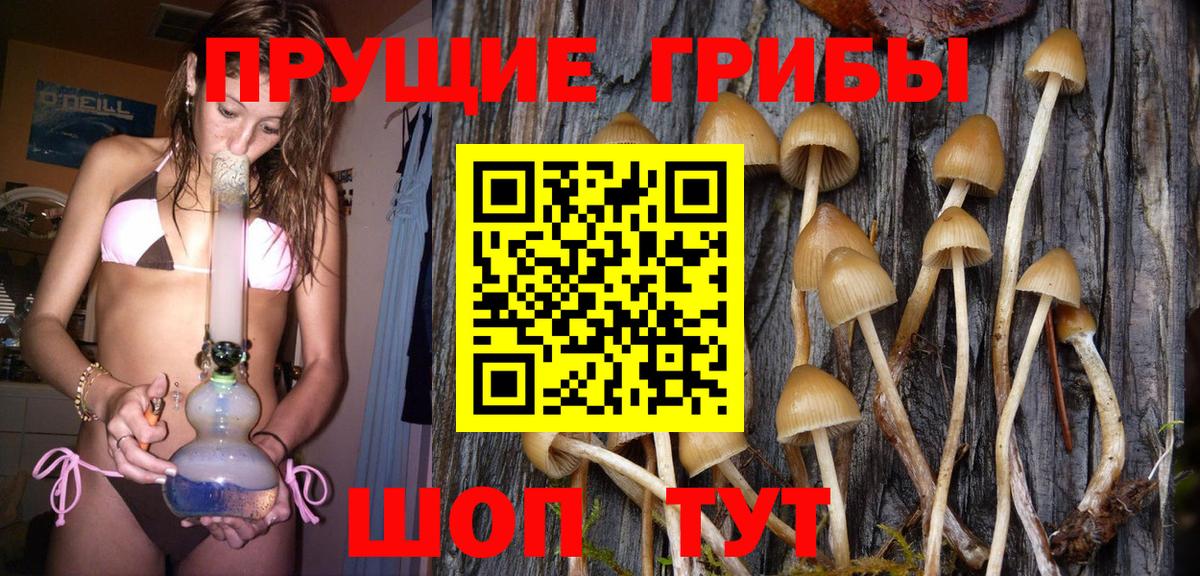 Новокуйбышевск  Псилоцибиновые грибы Magic Shrooms  Вход с VPN  Псилоцибиновые грибы GOLDEN TEACHER 