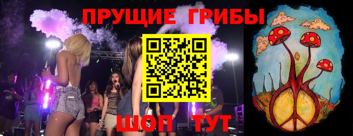 Псилоцибиновые грибы GOLDEN TEACHER Новокуйбышевск